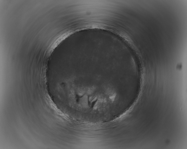 X0000116760977201001071152