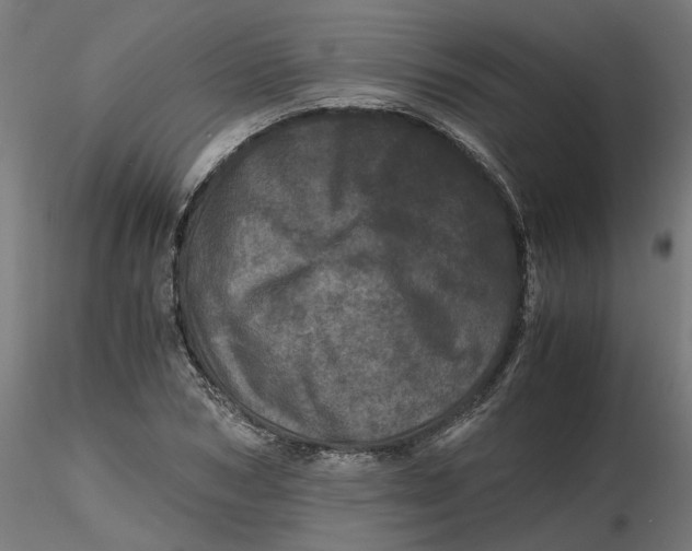 X0000116760978201001071152