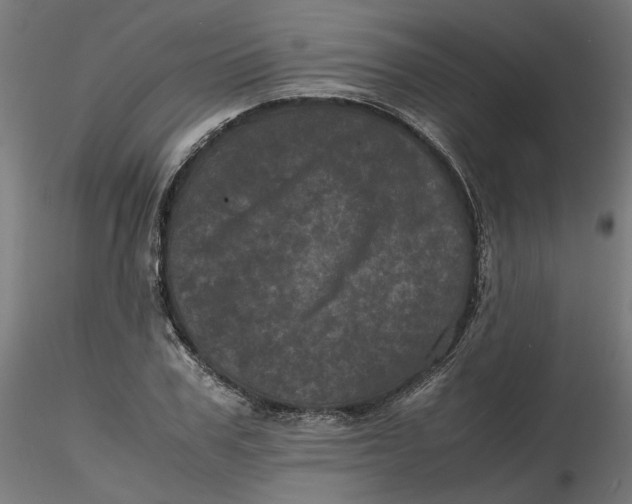 X0000116760979201001071152