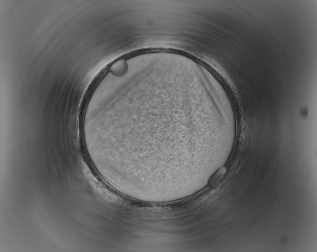 X0000116760980201001071151