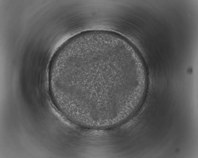 X0000116760982201001071151