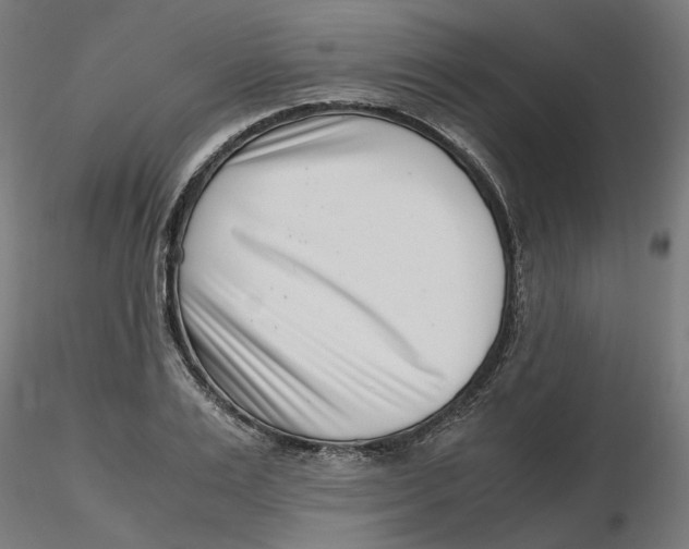 X0000116760983201001071151