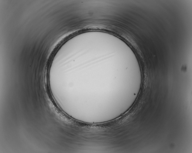 X0000116760984201001071151