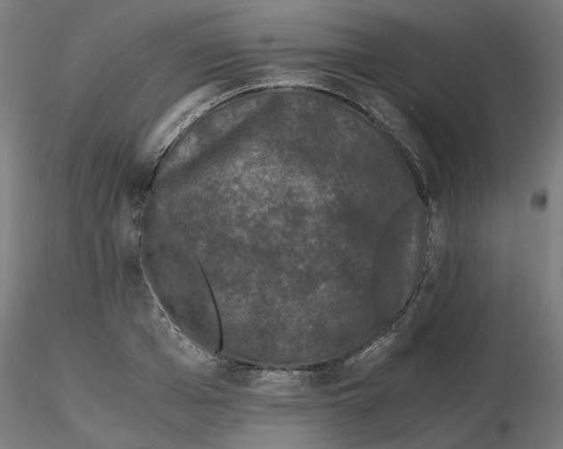 X0000116760985201001071151