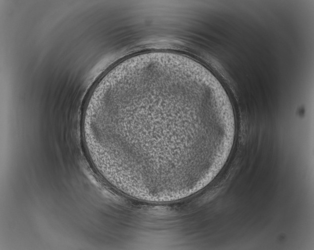 X0000116760986201001071151