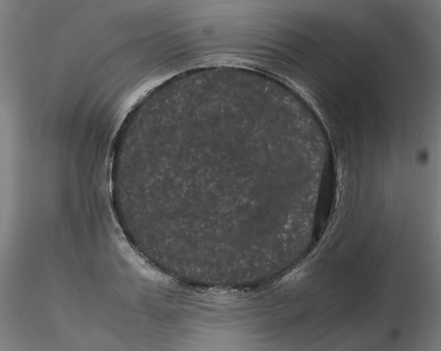 X0000116760987201001071151