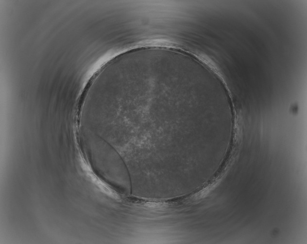 X0000116760989201001071151