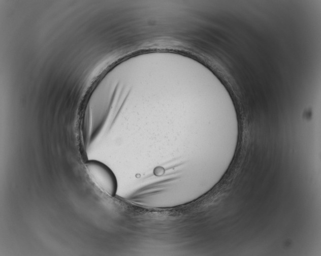 X0000116760990201001071151