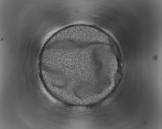 X0000116760991201001071151