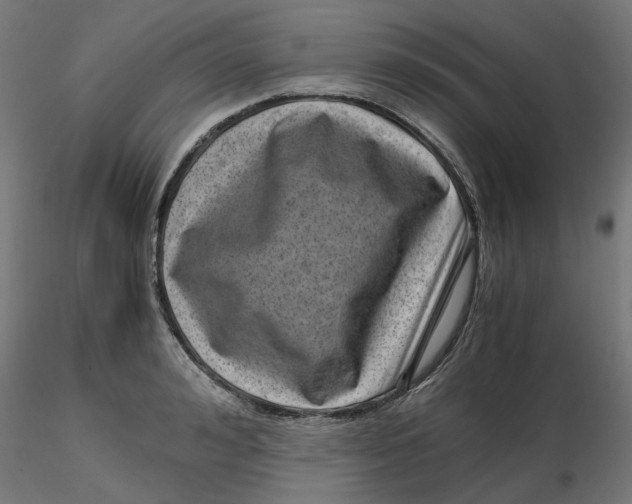 X0000116760992201001071151