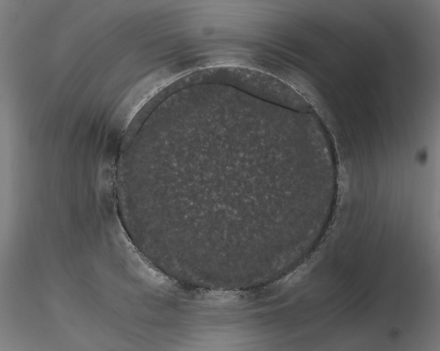 X0000116760993201001071151