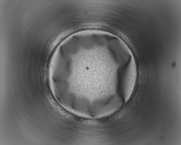 X0000116760994201001071151