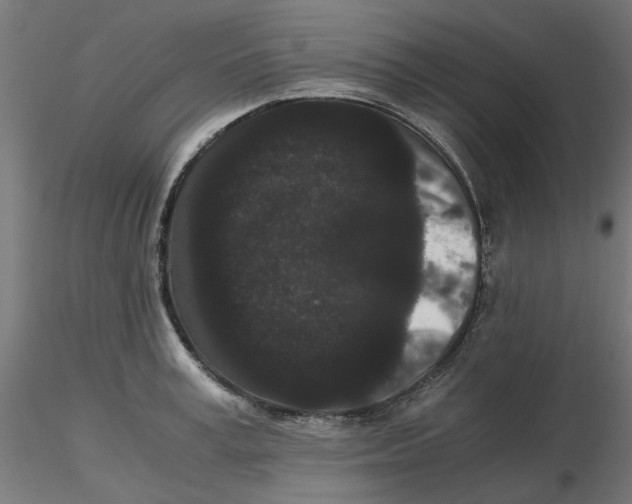 X0000116760995201001071151