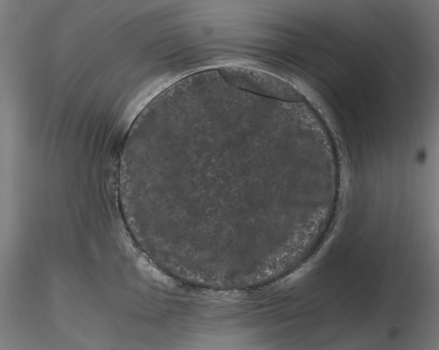 X0000116761001201001071151