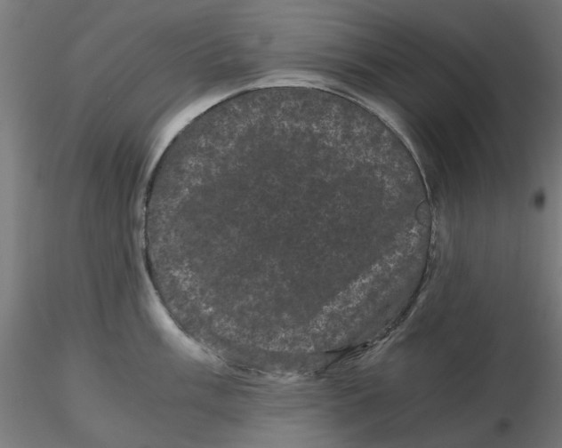 X0000116761003201001071151