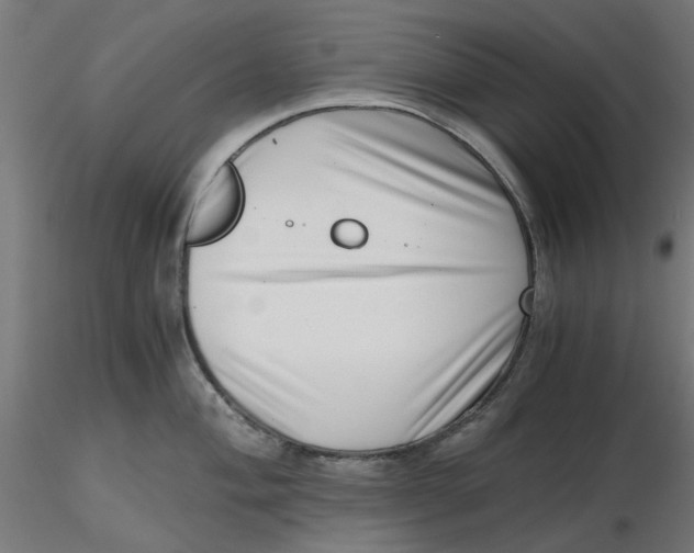 X0000116761004201001071151