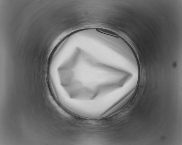 X0000116761005201001071151