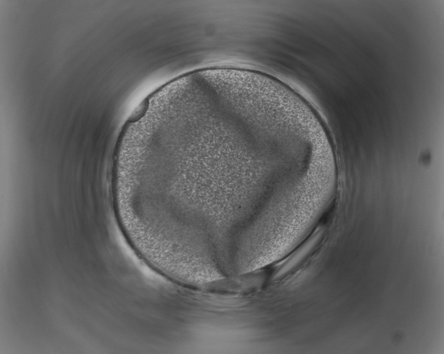 X0000116761007201001071151