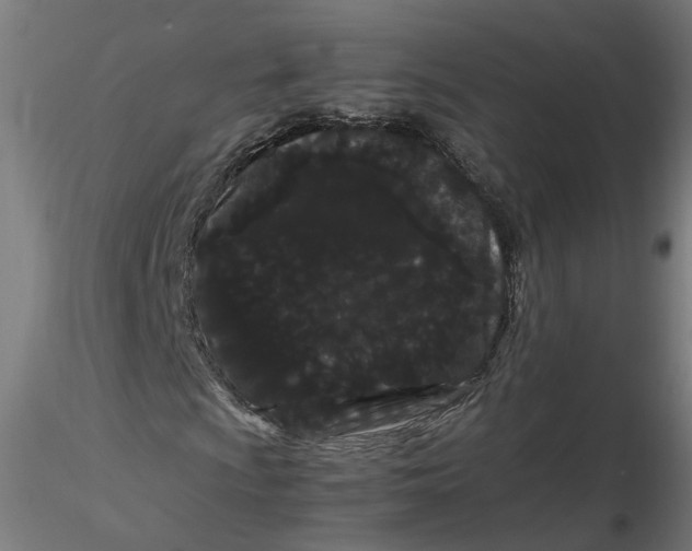 X0000116761009201001071150