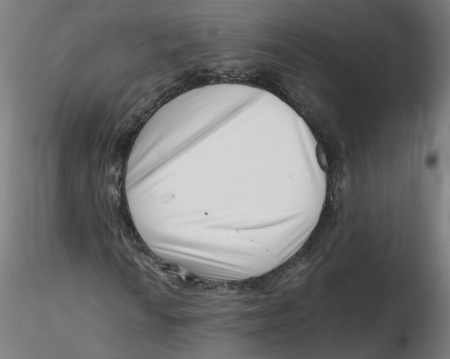 X0000116761010201001071150