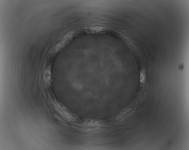 X0000116761011201001071150