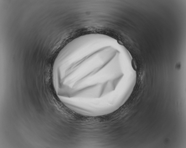 X0000116761012201001071150