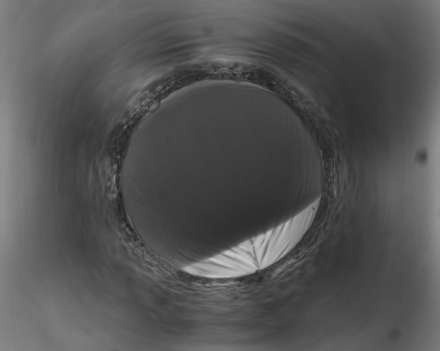 X0000116761013201001071151