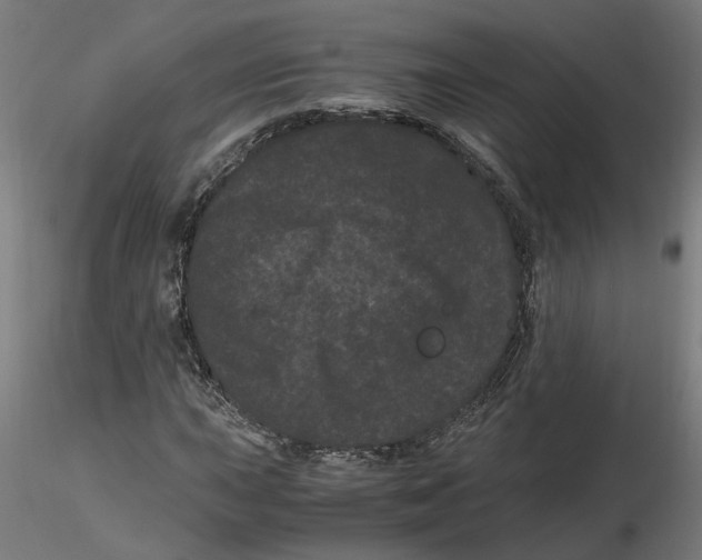 X0000116761015201001071151