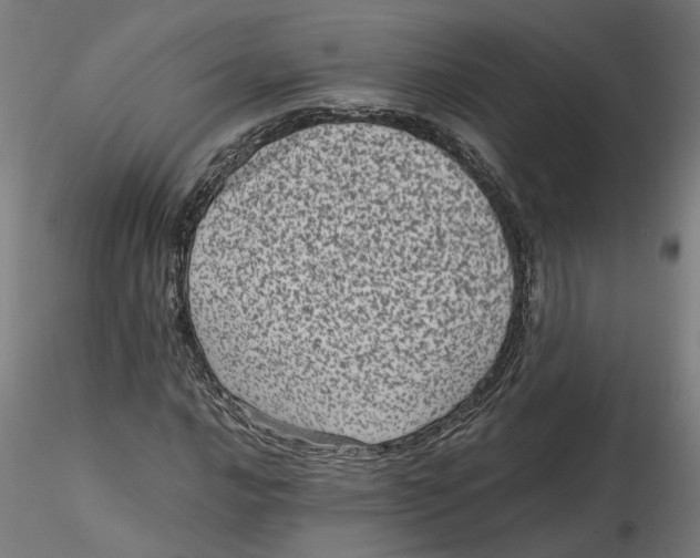 X0000116761016201001071151