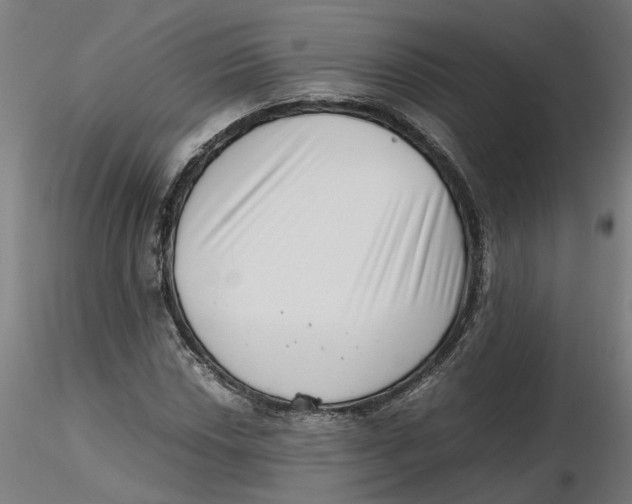 X0000116761018201001071151