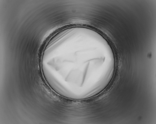 X0000116761022201001071151