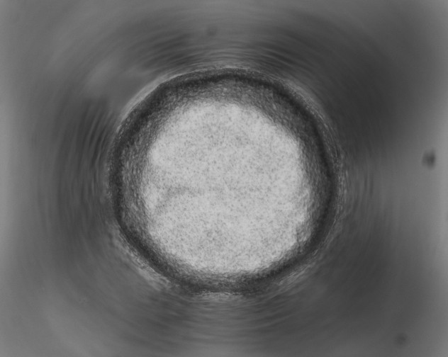 X0000116761023201001071151