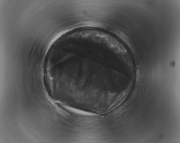 X0000116761024201001071151