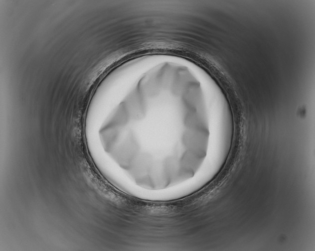 X0000116761025201001071151