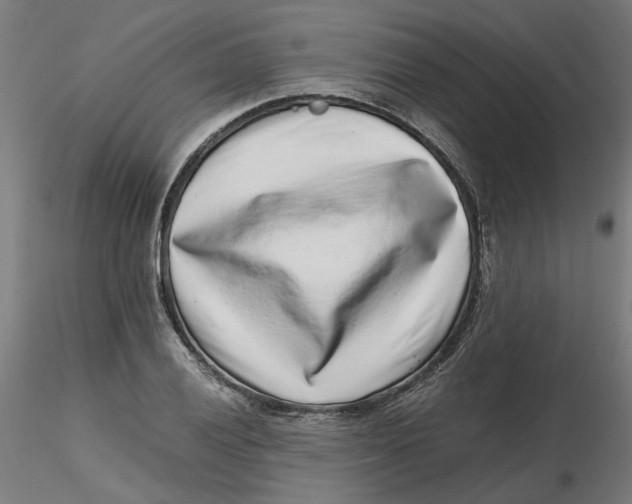 X0000116761028201001071151