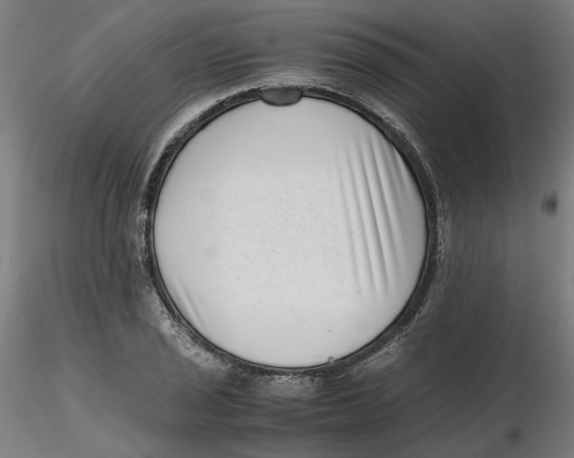 X0000116761029201001071151