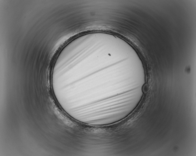 X0000116761030201001071151