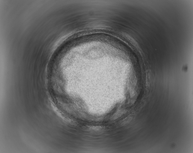 X0000116761031201001071151