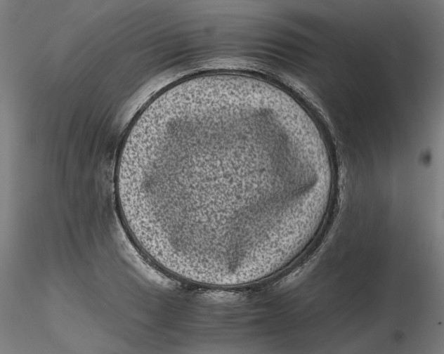 X0000116761033201001071151