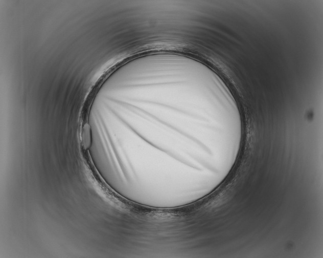 X0000116761034201001071151