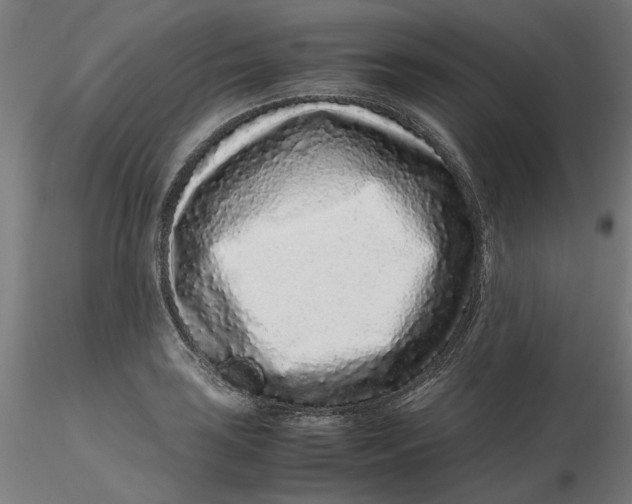 X0000116761035201001071151