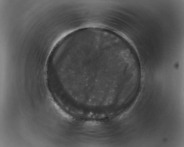 X0000116761037201001071151