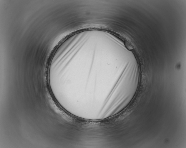 X0000116761038201001071151