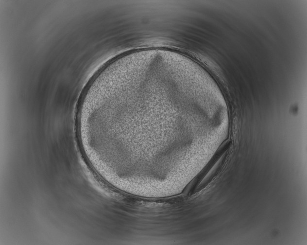 X0000116761039201001071151