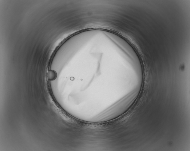 X0000116761040201001071151