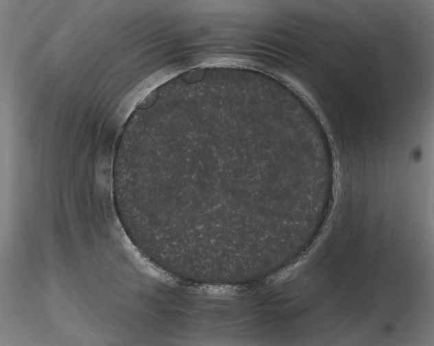 X0000116761041201001071151