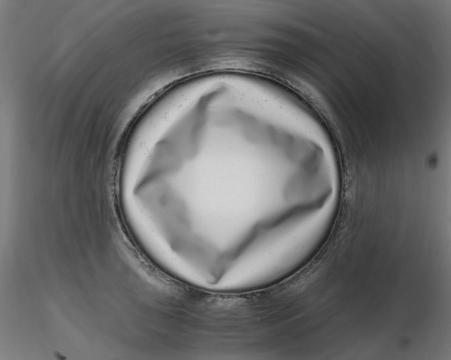 X0000116761043201001071151