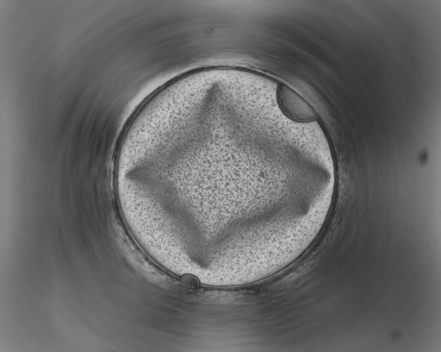 X0000116761044201001071151