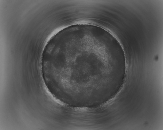 X0000116761045201001071151