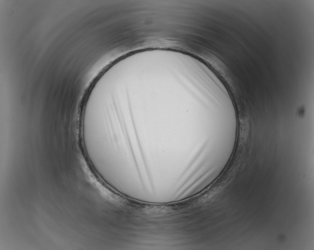 X0000116761046201001071151